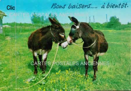 Cartes Postales Anciennes Fantaisie Animaux 