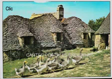 Cartes Postales Anciennes Basse-Cour