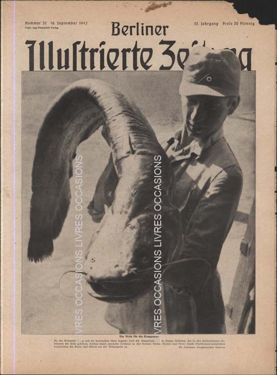Revue Bewertung Berliner